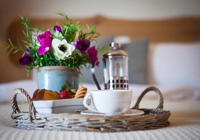 Dohos Hotel Experience