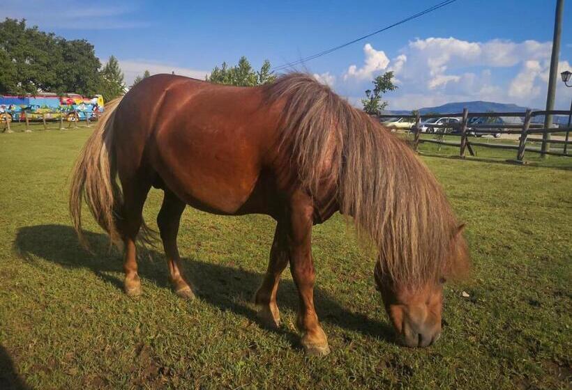 هتل Etno Selo Timcevski Complex