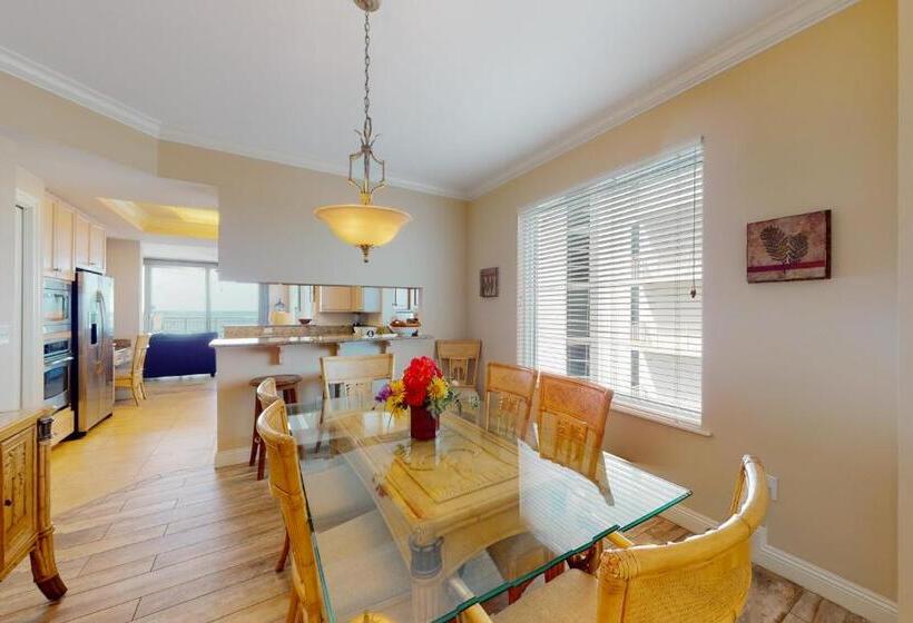 فندق Indigo 704w