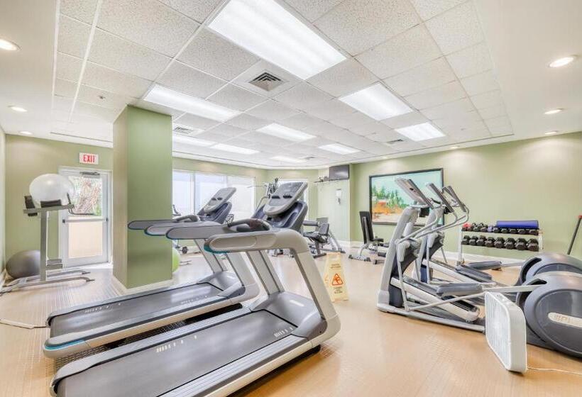 فندق Indigo 704w