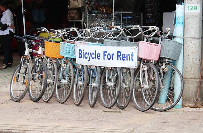 هتل Jasmine Lodge