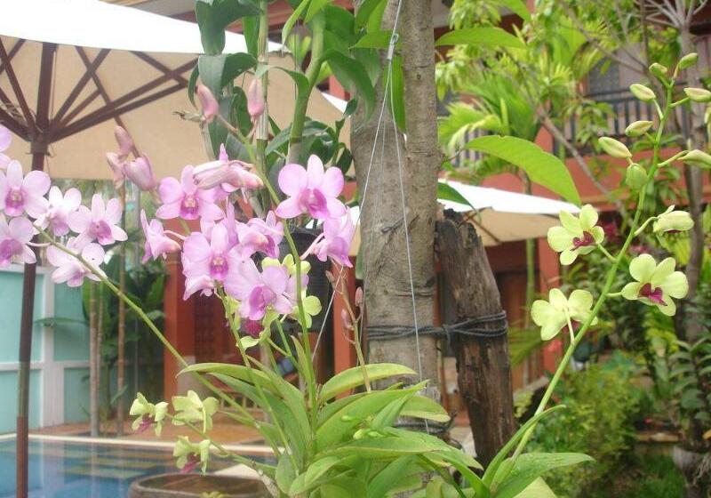 هتل Jasmine Lodge