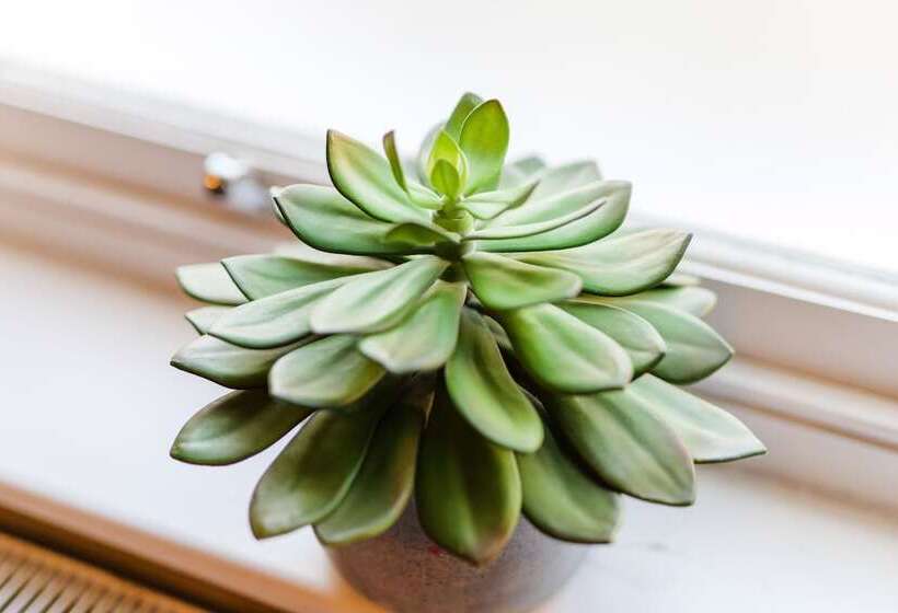 Отель Jolyon S Boutique