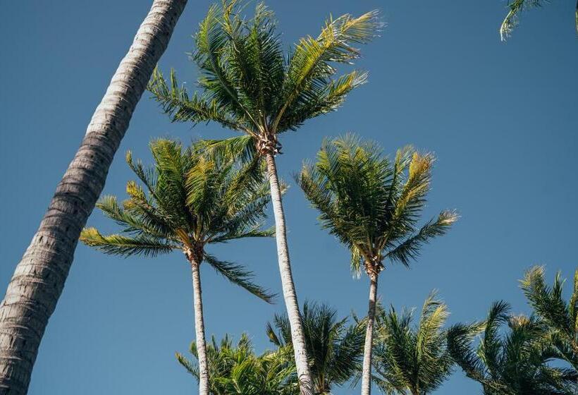 هتل Karratha International