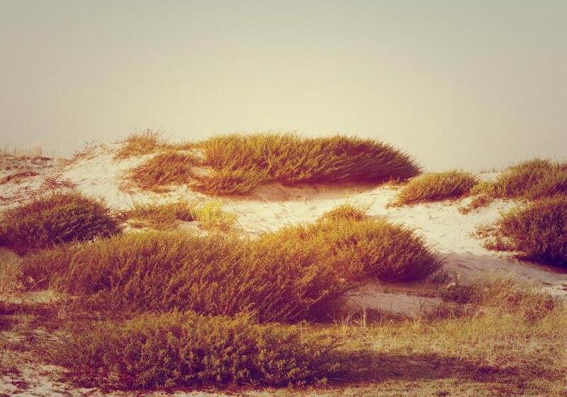 Le Grand Hotel De La Plage