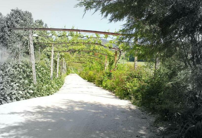 فندق Lousada Country