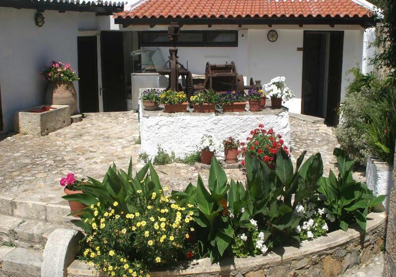 호텔 Oasis Guesthouse