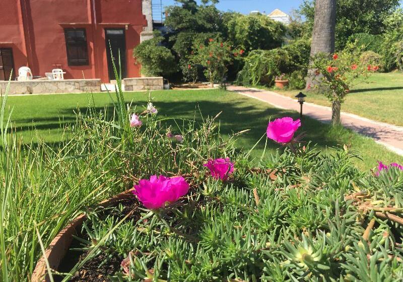 호텔 Oasis Guesthouse