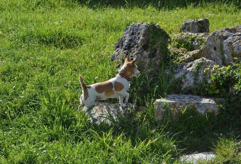 בית מלון כפרי Porta Del Tempo