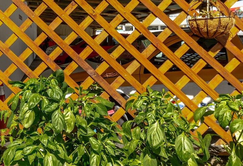 בית מלון כפרי & Pousada Favareto