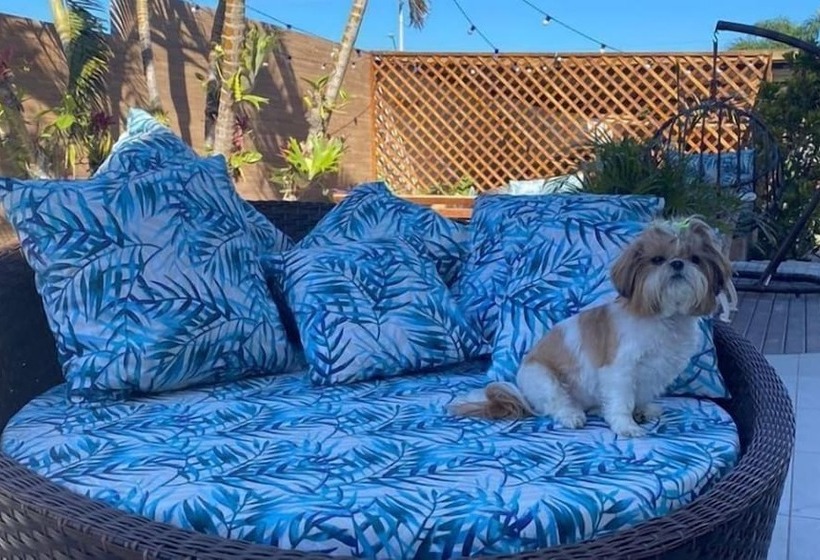 בית מלון כפרי & Pousada Favareto