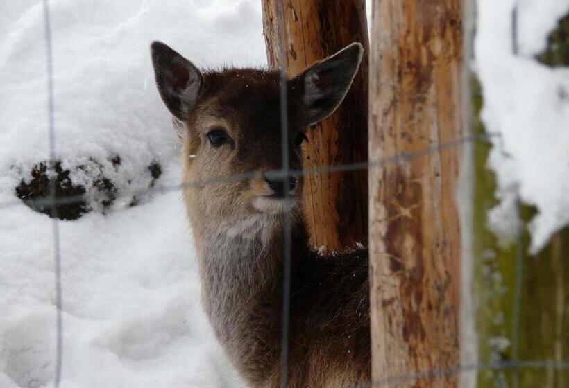 בית מלון כפרי Logis Hôtel Restaurant La Petite Auberge Alsace