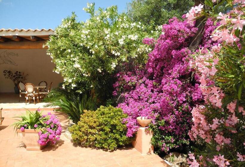 فندق San Pantaleo