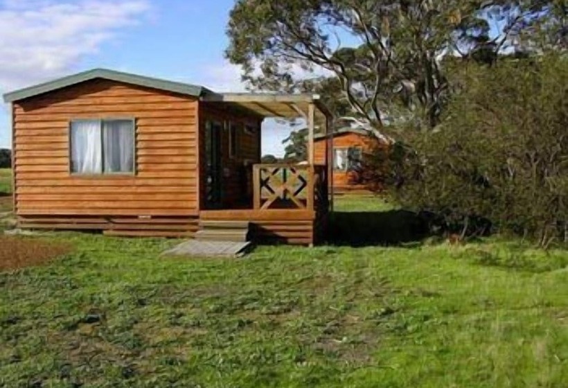 호텔 Seal Bay Cottages