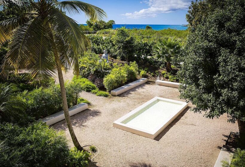 هتل Sonesta Ocean Point Resort  All Inclusive   Adults Only