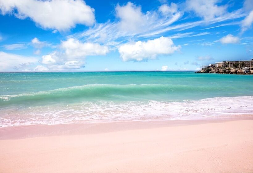 هتل Sonesta Ocean Point Resort  All Inclusive   Adults Only