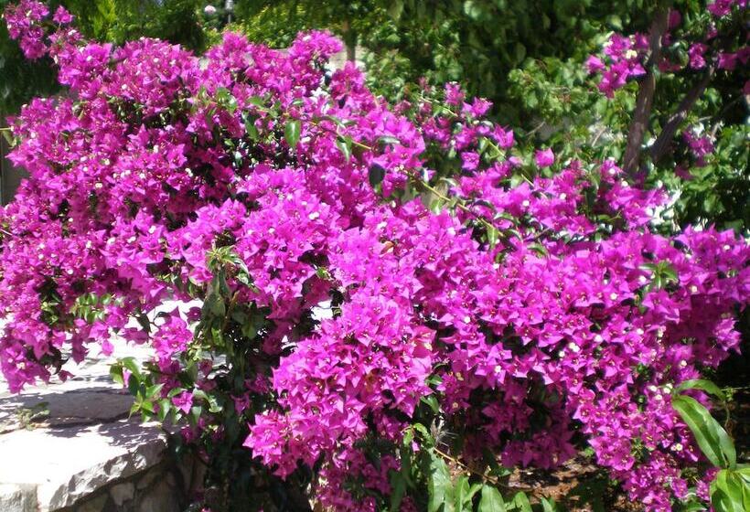 בית מלון כפרי Studios Vrionis Panoramic Sunset