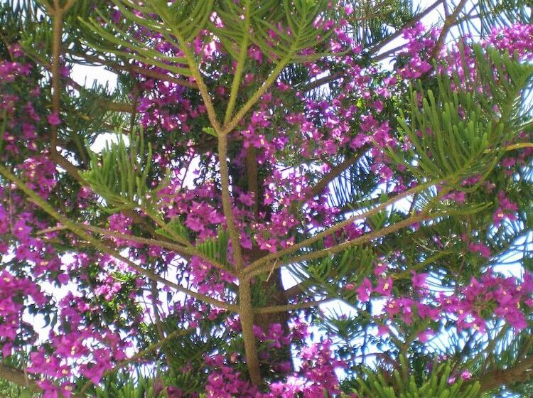 בית מלון כפרי Studios Vrionis Panoramic Sunset