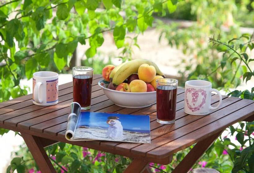 בית מלון כפרי Studios Vrionis Panoramic Sunset