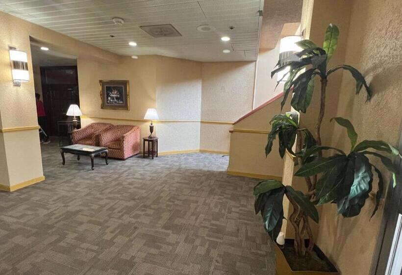 The Lodge Hotel And Banquets