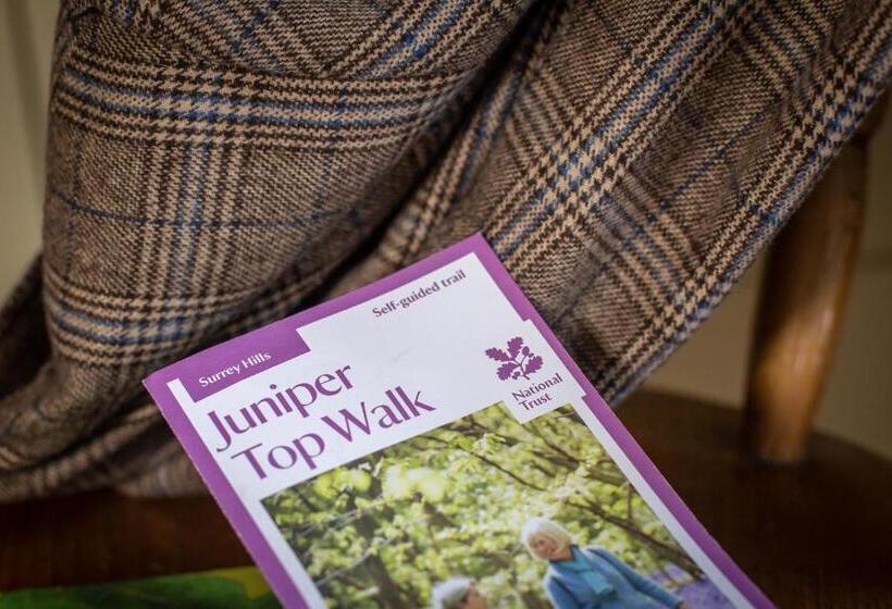 酒店 The Running Horses