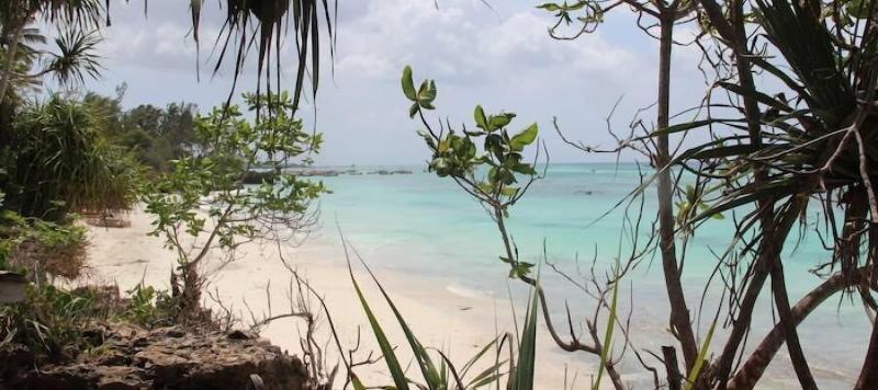 Отель Unguja Lodge