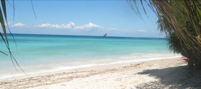 Отель Unguja Lodge