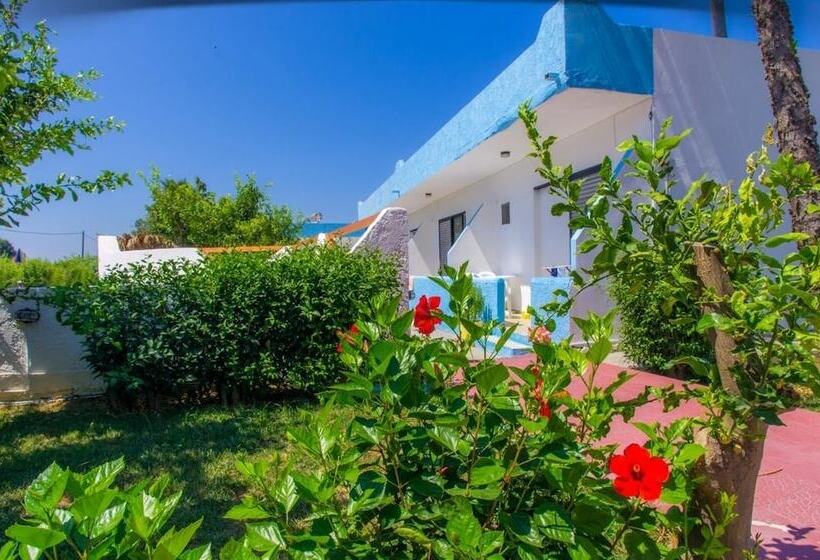 Отель Villa Andrews