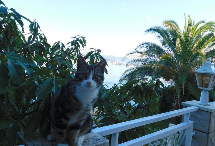 בית מלון כפרי Villa Corona