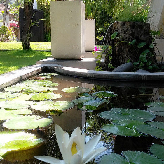 בית מלון כפרי Villa Sasoon