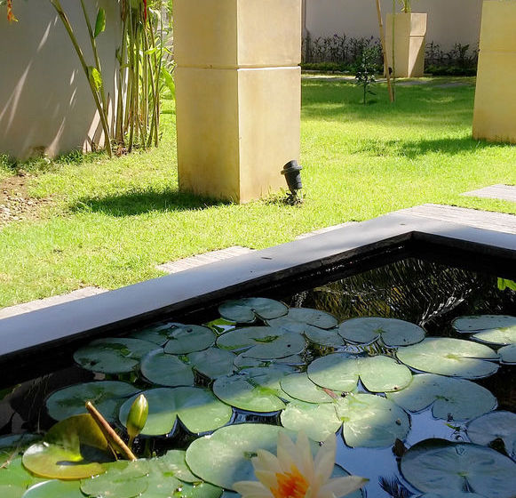 בית מלון כפרי Villa Sasoon