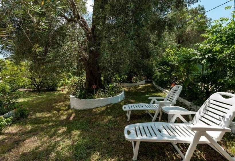 Marilena Apartments & Studios