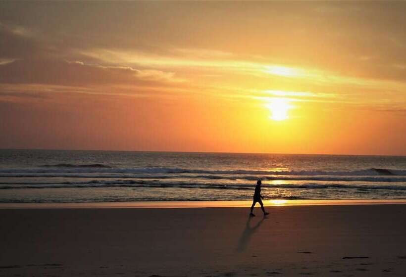 مُتل Pacific Palms Motor Inn