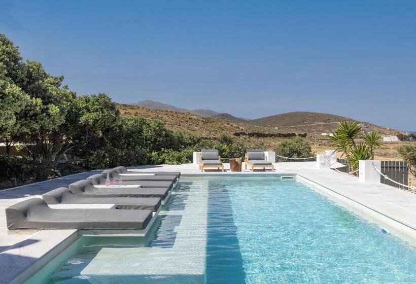 Mykonos Dream Villas
