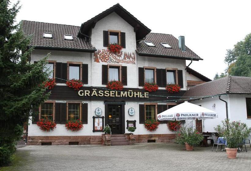 Пансион Gasthaus Zur Grässelmühle