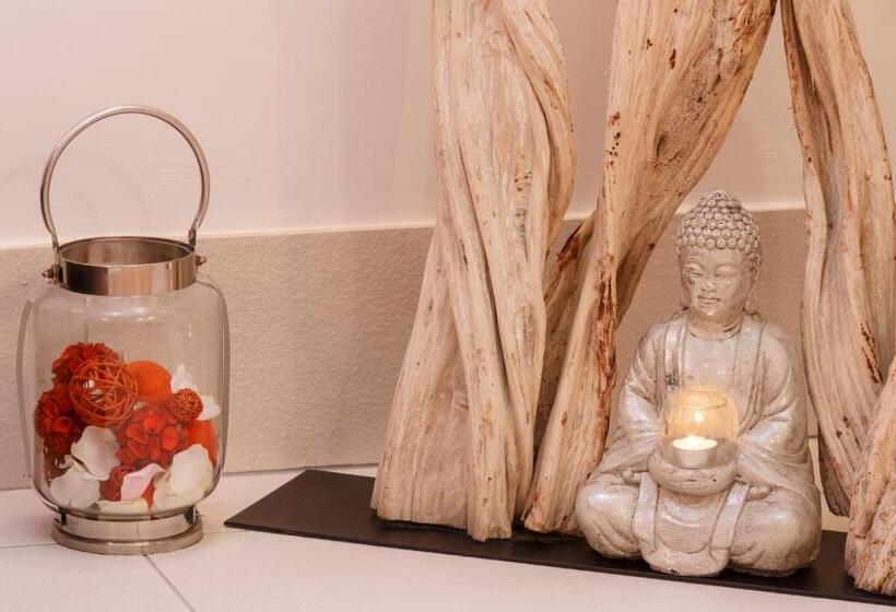 住所  Villa Romana Fréjus