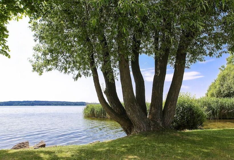 Schlosspark Bad Saarow