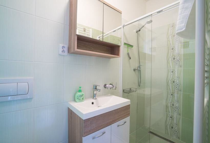 בית מלון כפרי čajkovskij Apartments