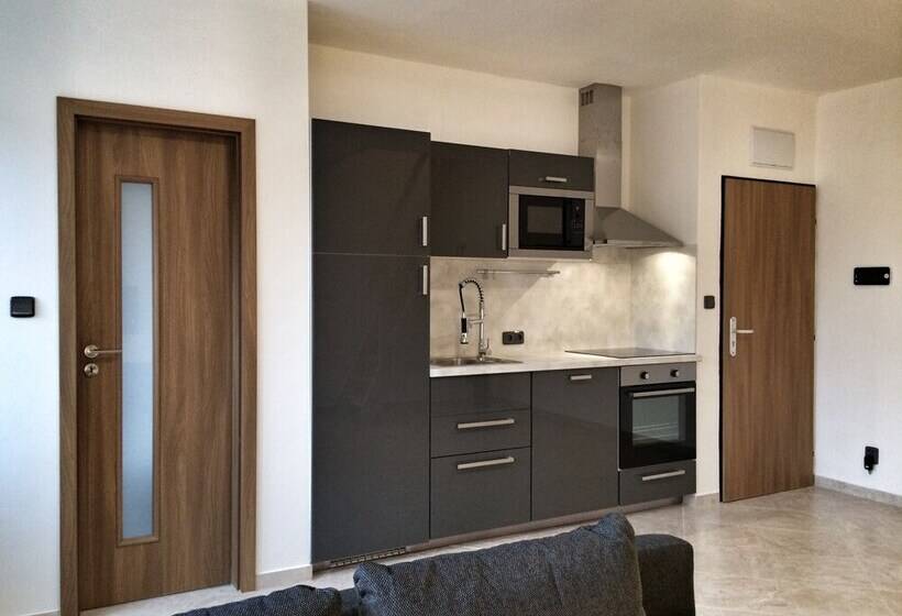 בית מלון כפרי čajkovskij Apartments