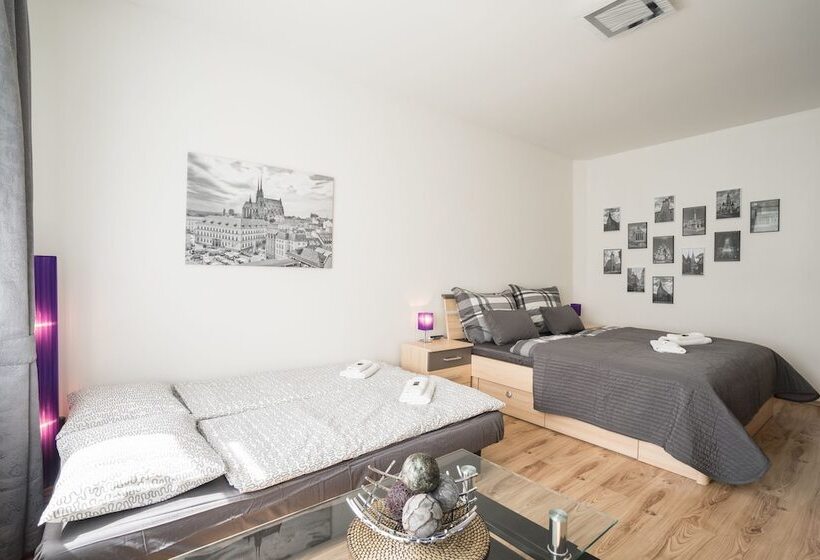 בית מלון כפרי čajkovskij Apartments