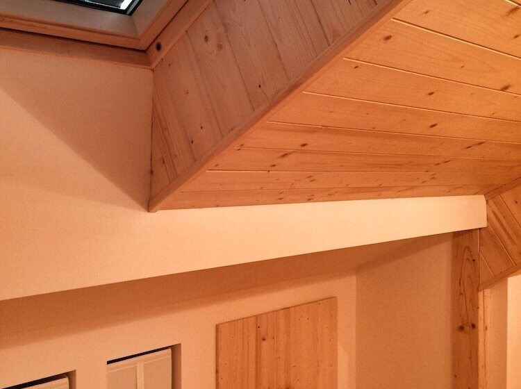 בית מלון כפרי čajkovskij Apartments