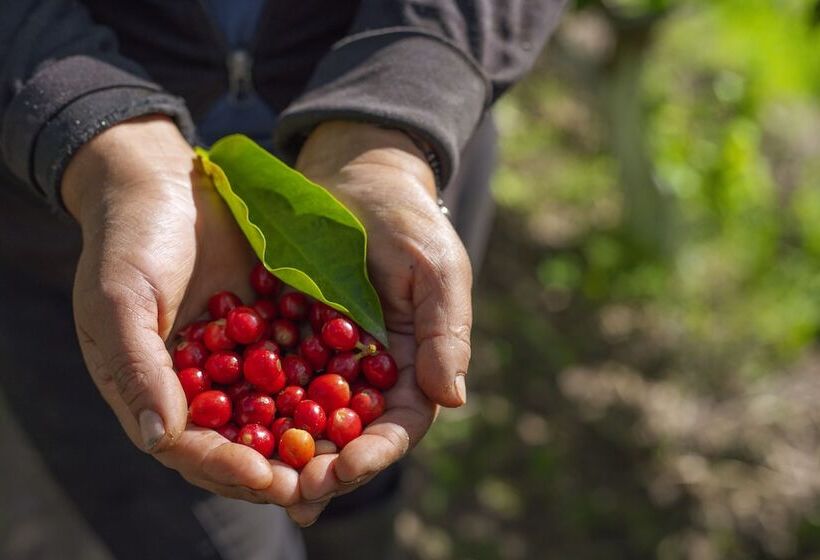 فندق Hosteria Cananvalle