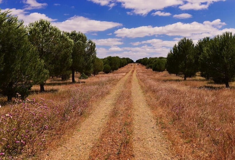 호텔 Sesmarias Turismo Rural & Spa