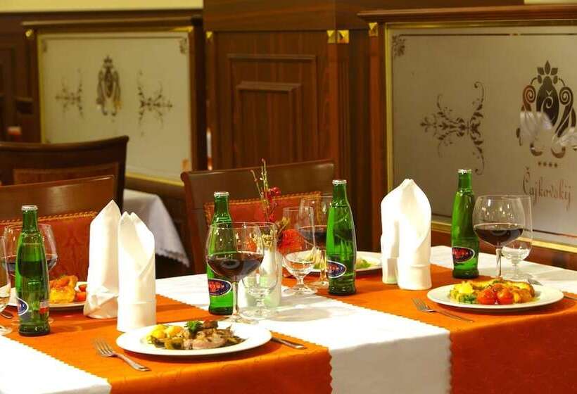 Spa Hotel čajkovskij