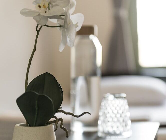 هاستل Sydney Central Inn