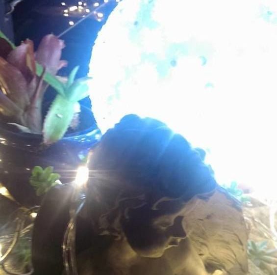 צימר Egyptian Dream Retreat