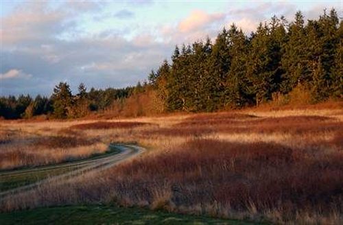 Bed and Breakfast Inn At Barnum Point