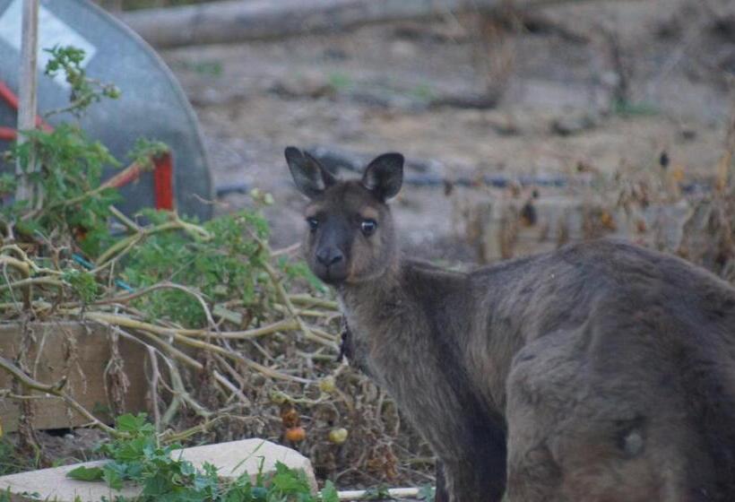 تختخواب و صبحانه Lindsays Of Kangaroo Island
