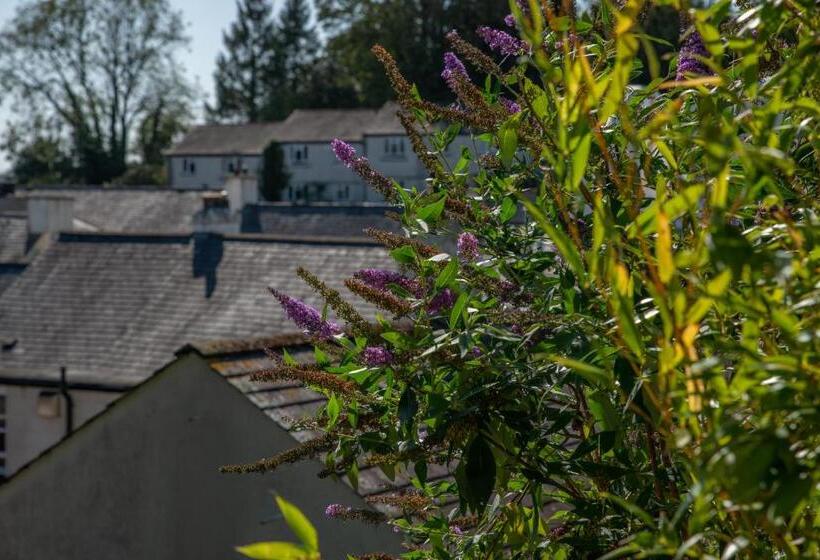 ベッドアンドブレックファースト Rockmount Rooms & Apartment