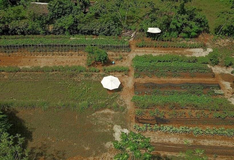 Daluyon Beach And Mountain Resort